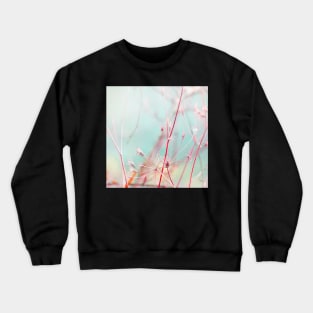 Luminosa Crewneck Sweatshirt